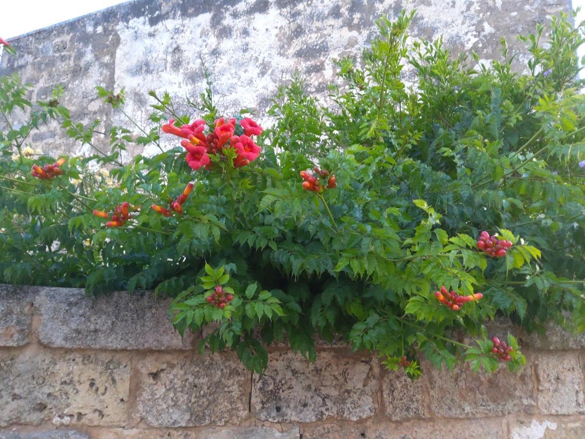 Casetta Vacanza In Campagna Aradeo Extérieur photo
