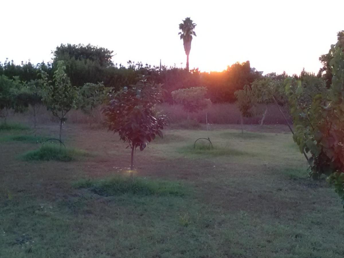 Casetta Vacanza In Campagna Aradeo Extérieur photo