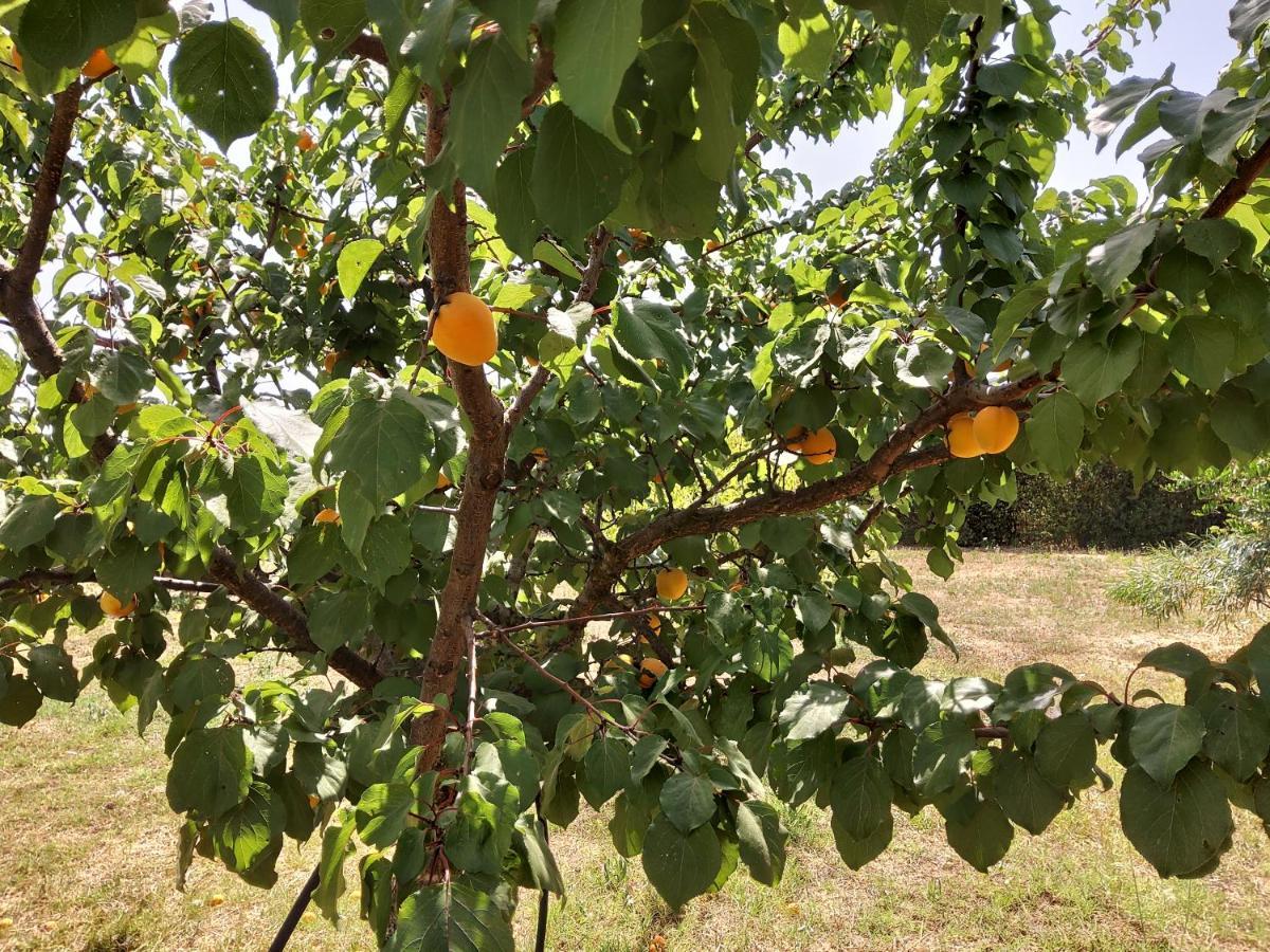 Casetta Vacanza In Campagna Aradeo Extérieur photo