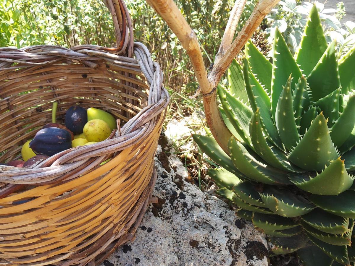 Casetta Vacanza In Campagna Aradeo Extérieur photo