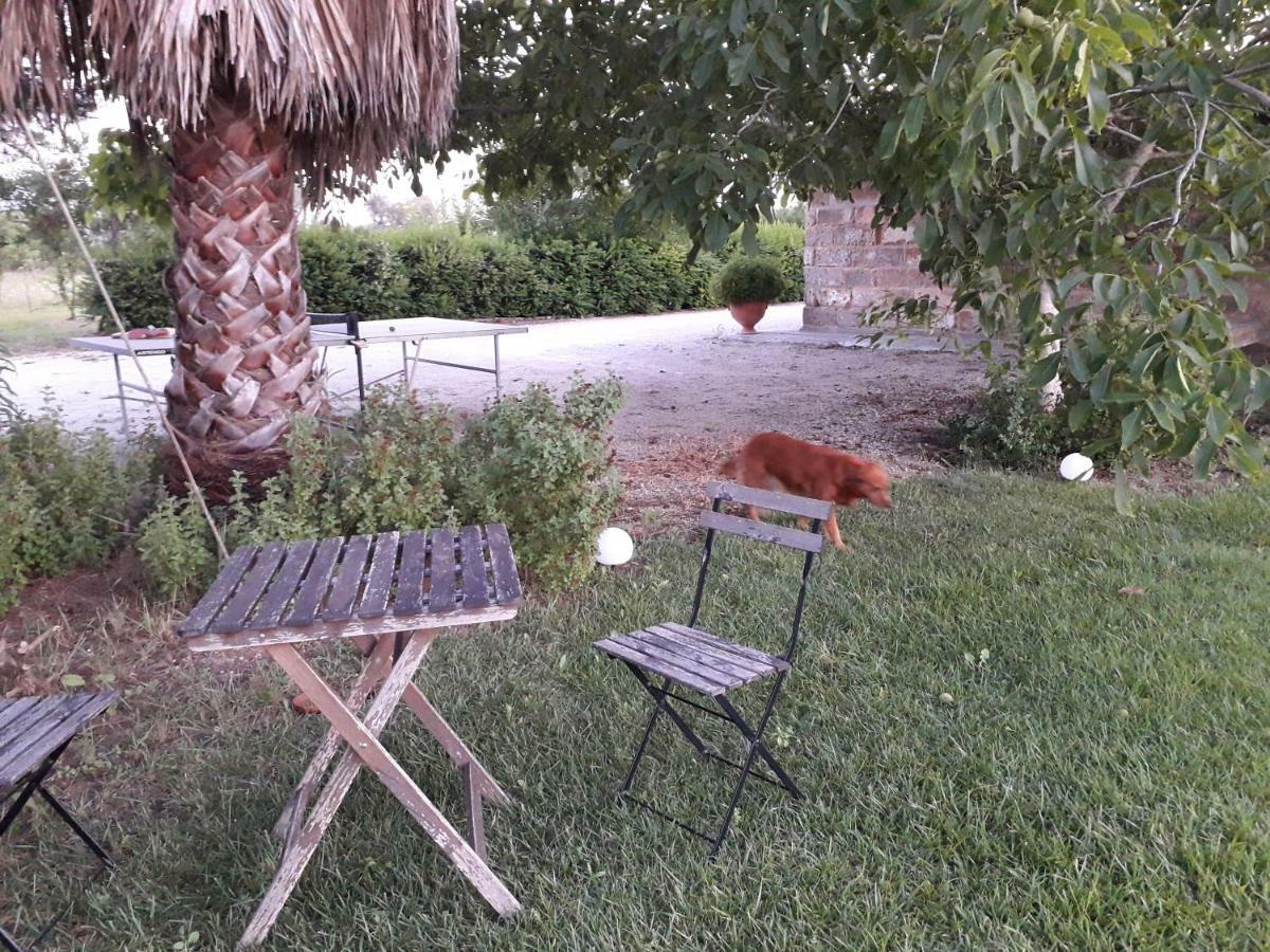 Casetta Vacanza In Campagna Aradeo Extérieur photo